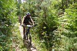 20150704-161434-PR