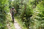 20150704-161436-PR