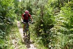 20150704-161452-PR
