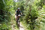 20150704-161548-PR
