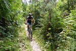 20150704-161720-PR