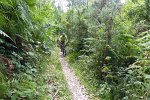 20150704-161844-PR