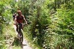 20150704-162551-PR
