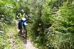 20150704-163209-PR