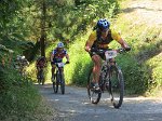 16_llantones_camin_rambla