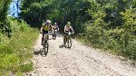 26_bajada_monte