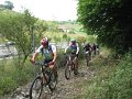 24_bosque_autopista_piedras_13