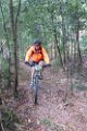 25_bosque_autopista_acacias_178