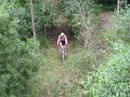 26_bosque_autopista_perspectivas_24