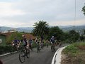 20180707-093444_mrn