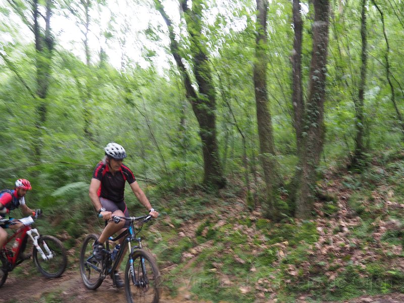 20180707-094440_pro.JPG
