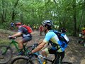 20180707-094052_rob