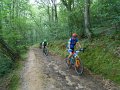 20180707-094450_rob