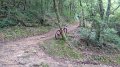 20180707-100236_fre