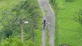 20180707-105545_pau