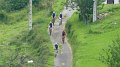 20180707-105607_pau