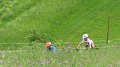 20180707-105616_pau