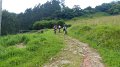 20180707-105949_pau