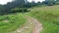 20180707-110553_pau