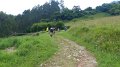 20180707-111125_pau