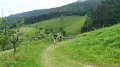 20180707-111408_pau