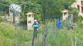20180707-113904_pau