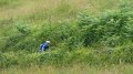 20180707-114130_pau