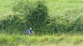 20180707-114200_pau