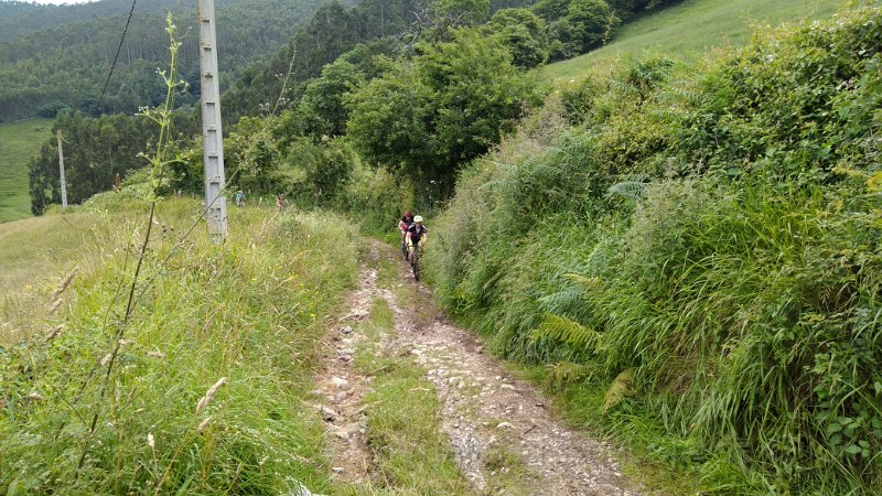20180707-110523_fre.jpg