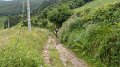 20180707-110523_fre