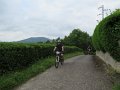 20180707-112108_sau