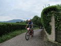 20180707-112115_sau