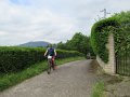 20180707-112921_sau