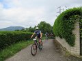 20180707-113152_sau