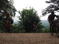 20180707-122450_pro
