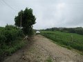 20180707-131116_sau