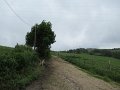 20180707-131200_sau