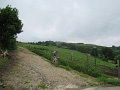 20180707-131203_sau