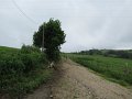 20180707-131210_sau