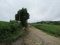 20180707-131213_sau