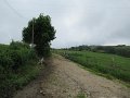 20180707-131222_sau
