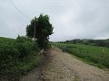 20180707-131226_sau