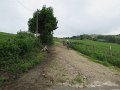 20180707-131559_sau
