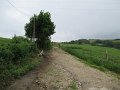 20180707-132341_sau