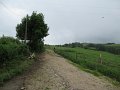 20180707-132419_sau