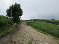 20180707-132502_sau