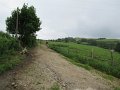 20180707-132547_sau