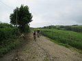 20180707-132803_sau