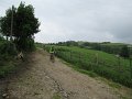 20180707-132914_sau