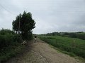 20180707-132950_sau